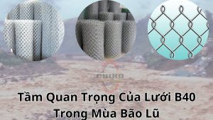 luoi-b40-trong-bao-lu