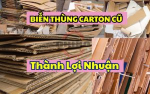 máy băm giấy carton